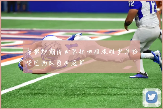 布雷默期待世界杯回报艰难岁月盼望巴西队勇夺冠军