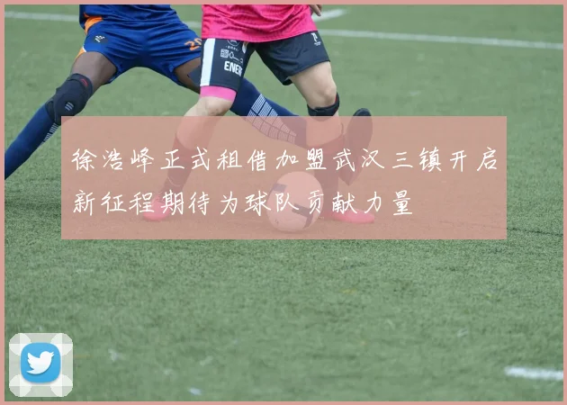 徐浩峰正式租借加盟武汉三镇开启新征程期待为球队贡献力量